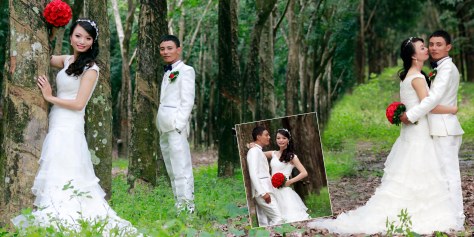 Ảnh cưới chụp tại rừng cao su